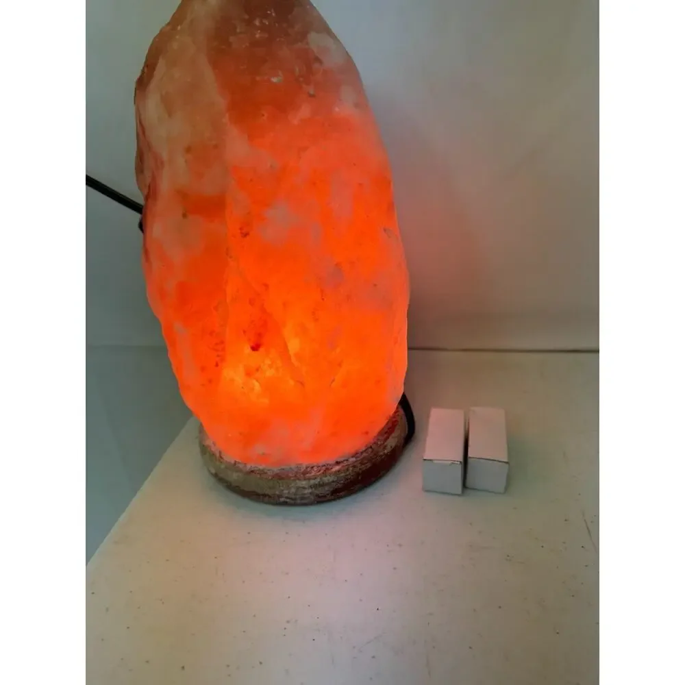 Himalayan Salt Lamp 10 in. Tall with Dimmer Switch Night Light Table Lamp